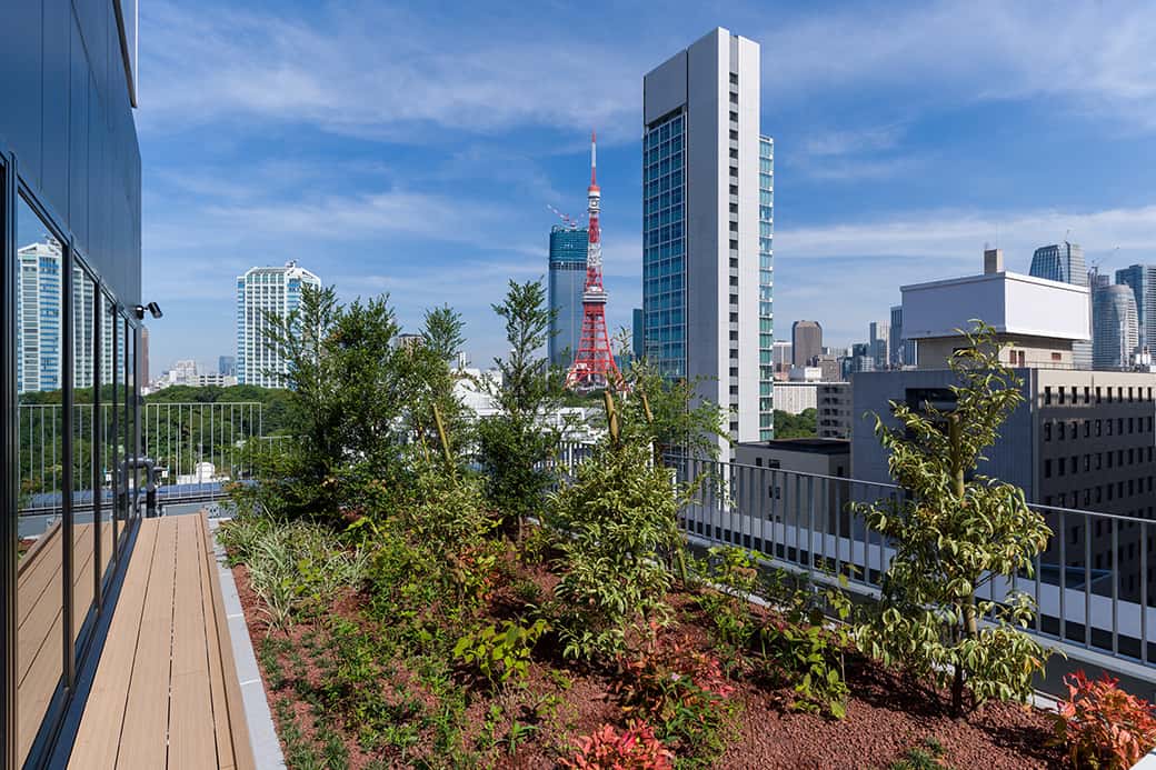 本社ビル（屋上緑化）